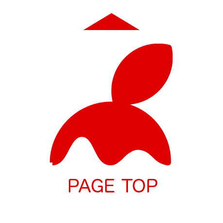 PAGE TOP